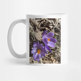 Long live the crocuses 1 Mug